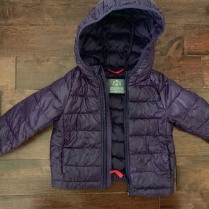 Primary purple puffer jacket for infant
